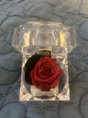 Verdissimo Preserved Eternity Forever Red Rose In Ring Box Valentine